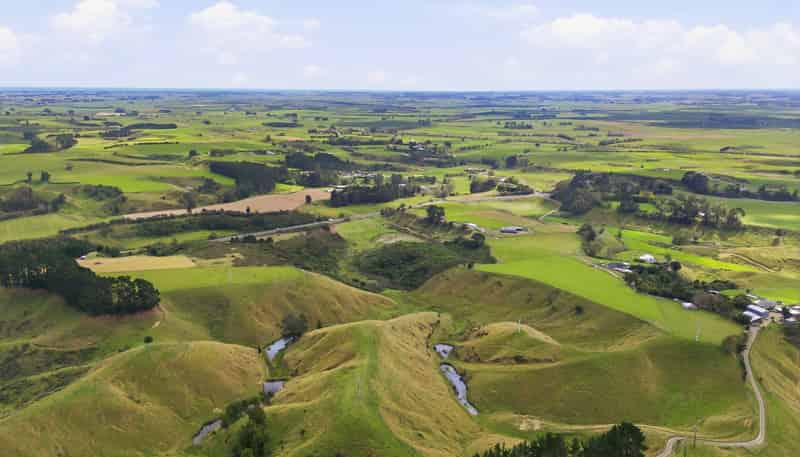 100 Heights Road , Shannon