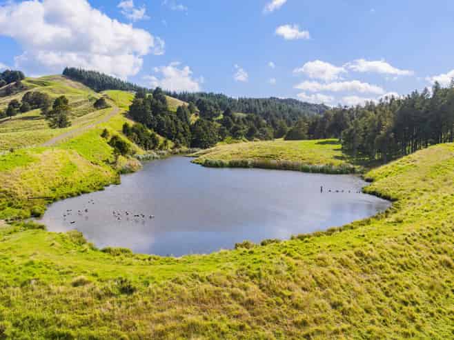 131 Taipuha Road, Waiotira