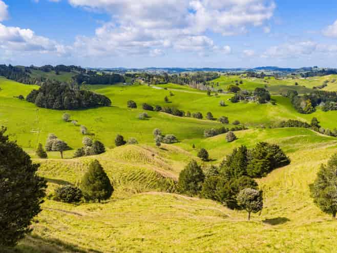 131 Taipuha Road, Waiotira