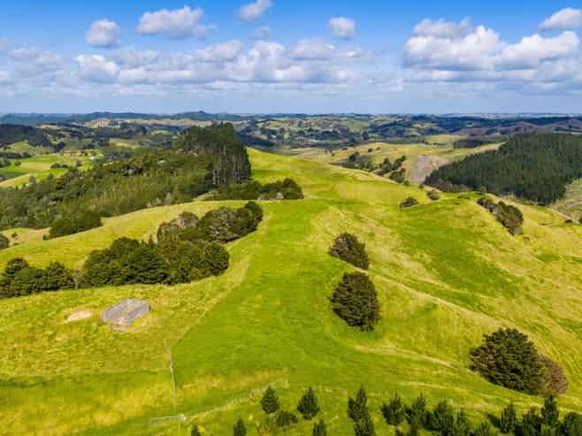 131 Taipuha Road, Waiotira