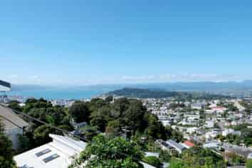 1/86 Mitchell St, Brooklyn