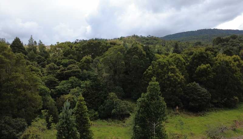 453 Wekaweka Road, Kaikohe West