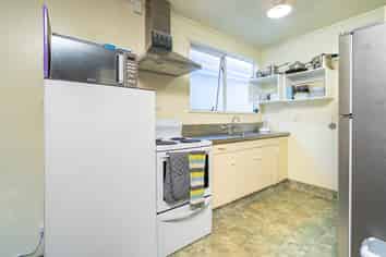 4A Lovelock Avenue, North Dunedin