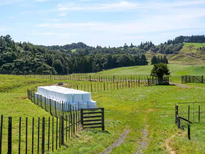 530 Soldiers Road, Lower Kaimai