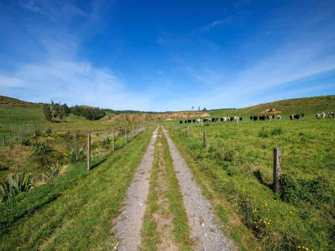 530 Soldiers Road, Lower Kaimai