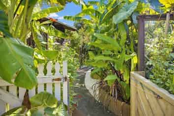 6 Punga Place, Whitianga