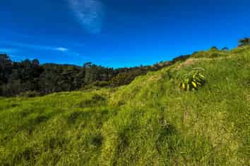8 Te Mata Drive, Te Mata