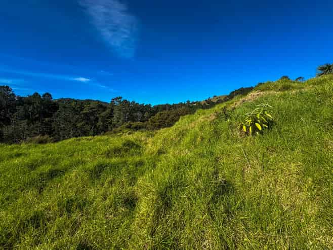8 Te Mata Drive, Te Mata