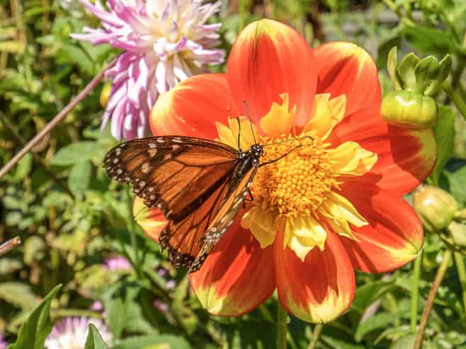 3 Phillips Drive, Oropi