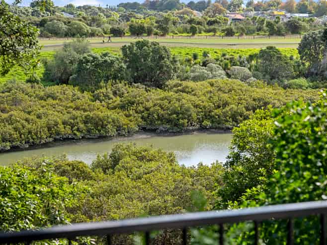 48A Sunny Brae Crescent, Westmere