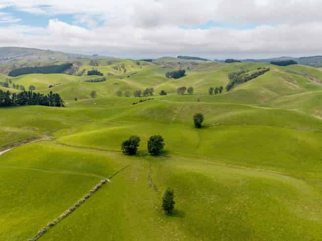 299 Domett Road, Cheviot