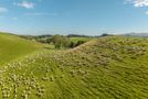 299 Domett Road, Domett, Hurunui, Canterbury