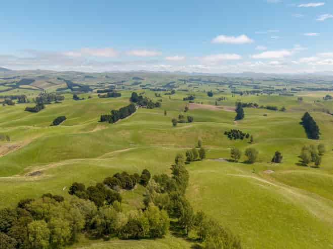 299 Domett Road, Cheviot