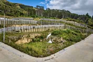 Development Opportunity 