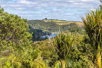 39 Wilma Road, Ostend