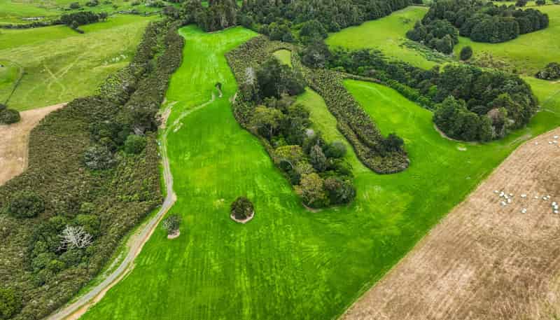 61 Gordon Francis Drive, Pukekohe East