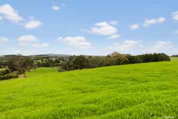 61 Gordon Francis Drive, Pukekohe East