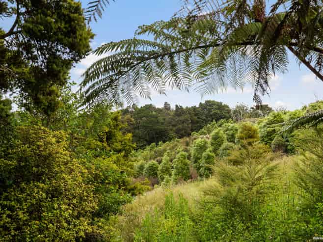 61 Gordon Francis Drive, Pukekohe East