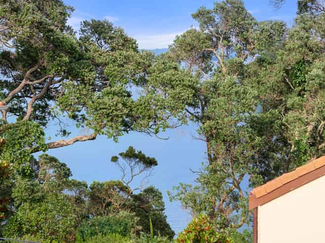 4/30 Clarence Road, Northcote Point