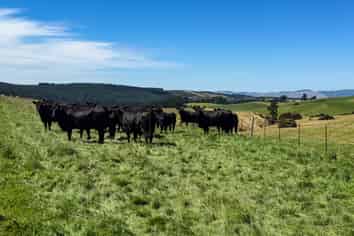 759 Waitahuna Gully Road, Lawrence