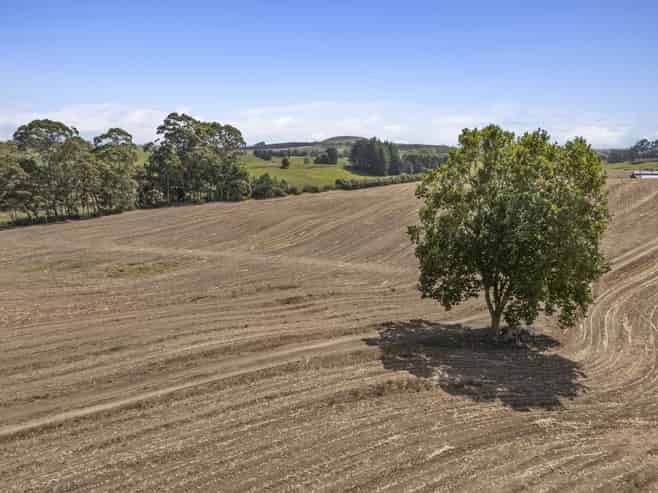 1542 Morrinsville-Walton Road, Morrinsville