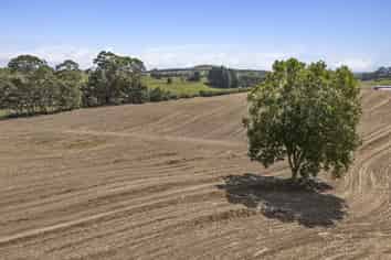 1542 Morrinsville-Walton Road, Morrinsville