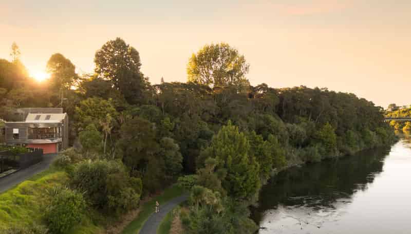 25 Sycamore Place, Pukete