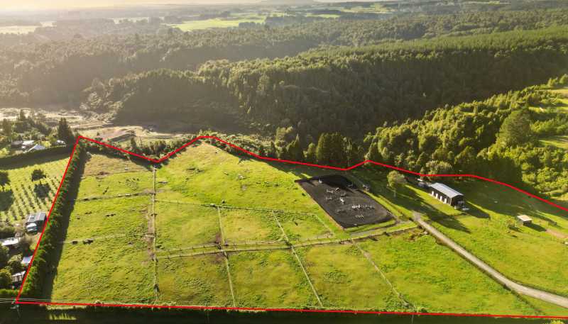 1235 Omanawa Road, Omanawa