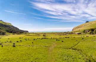 461 Goughs Road, Goughs Bay