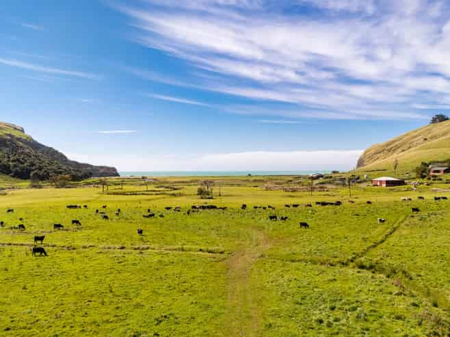 461 Goughs Road, Goughs Bay