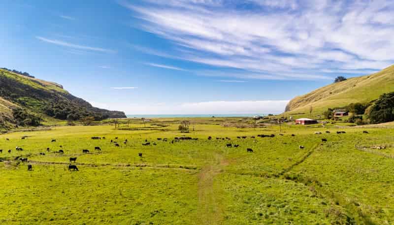 461 Goughs Road, Goughs Bay