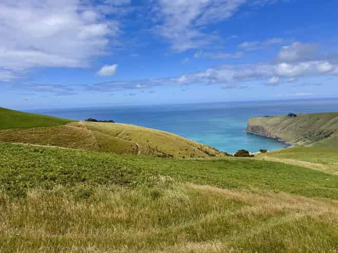 461 Goughs Road, Goughs Bay