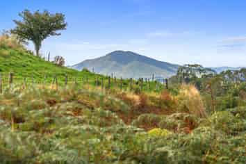 233 Te Tahi Rd, Pirongia