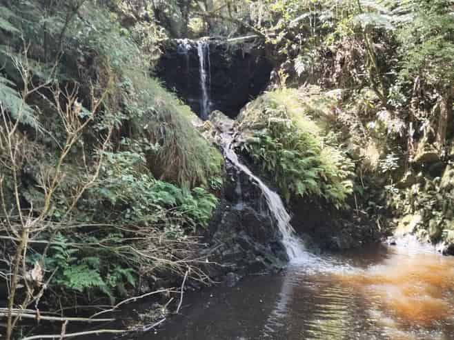 240b Esk Road, Miranda