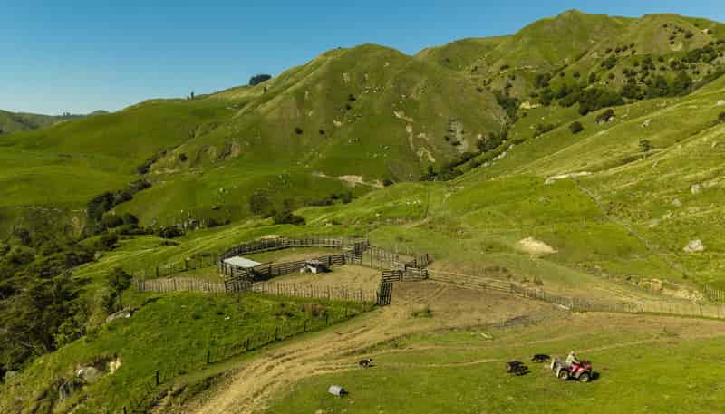  Matawai Station, 772 Oliver Road, Matawai