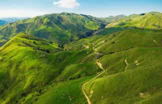  Matawai Station, 772 Oliver Road, Matawai