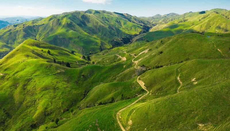  Matawai Station, 772 Oliver Road, Matawai