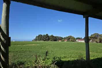 1A College Street, Oamaru