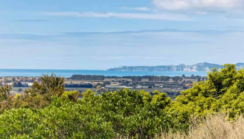 17 Te Roera Drive, Taradale