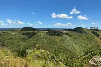 103 Dill Road, Kaipara Flats