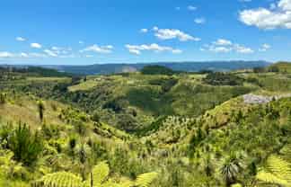 103 Dill Road, Kaipara Flats