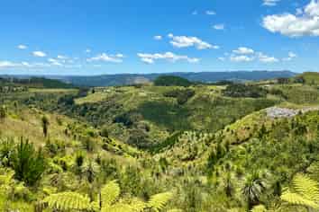 103 Dill Road, Kaipara Flats