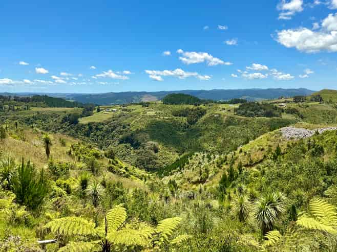 103 Dill Road, Kaipara Flats