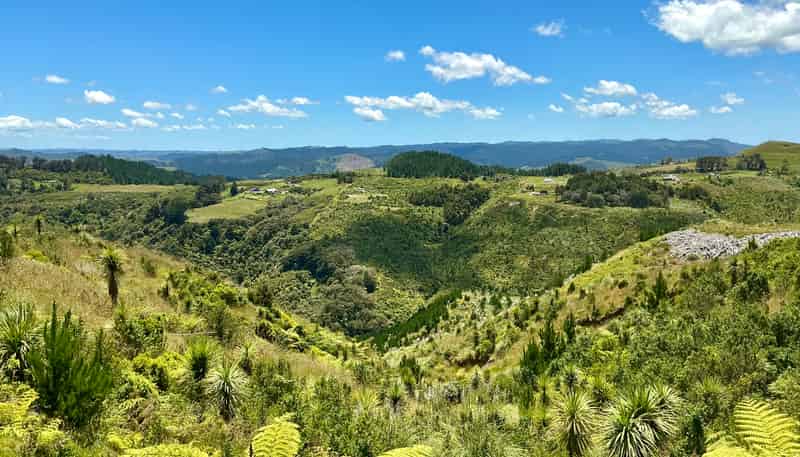 103 Dill Road, Kaipara Flats