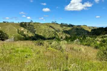 103 Dill Road, Kaipara Flats