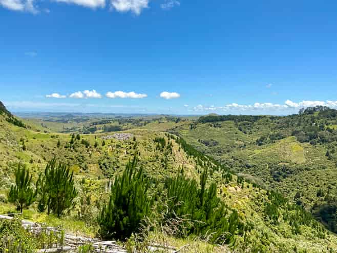 103 Dill Road, Kaipara Flats