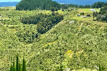 103 Dill Road, Kaipara Flats
