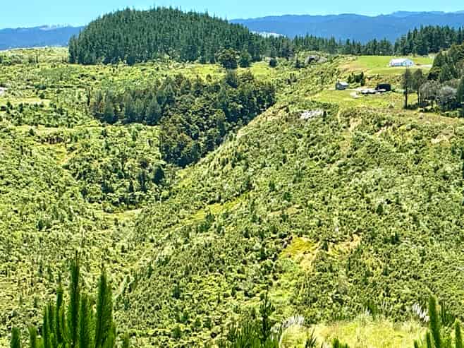 103 Dill Road, Kaipara Flats