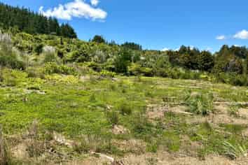 103 Dill Road, Kaipara Flats