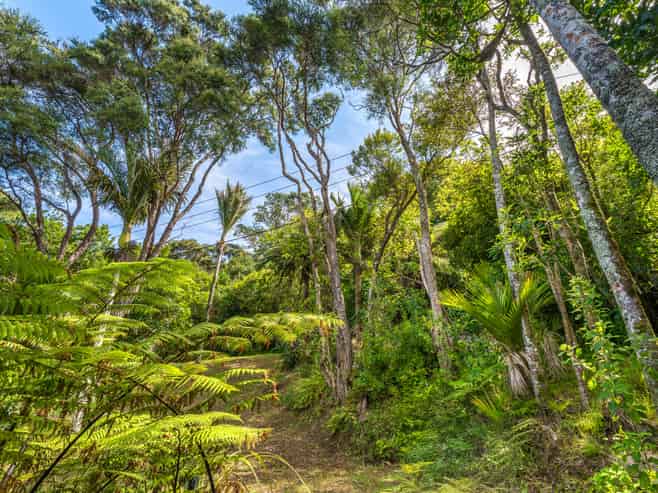 83 Fairview Crescent, Omiha